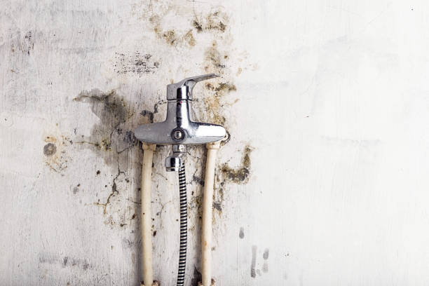 Best Commercial Mold Remediation in Aledo, TX