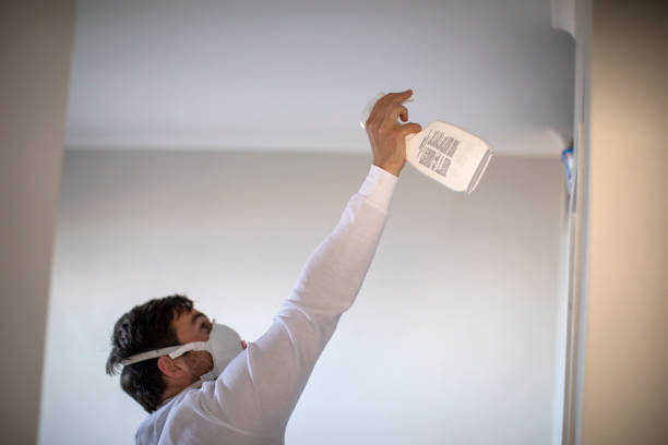 Best Residential Mold Remediation in Aledo, TX